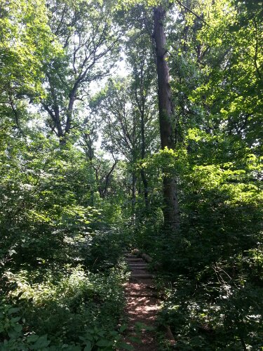 20120712_101550.jpg image