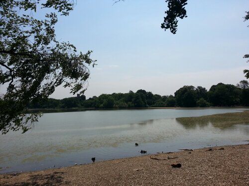 20120712_111607.jpg image